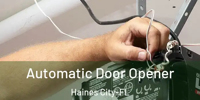Automatic Door Opener Haines City-FL