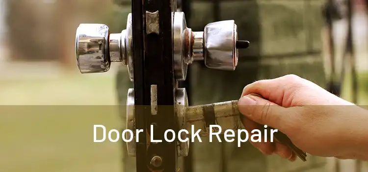 Door Lock Repair