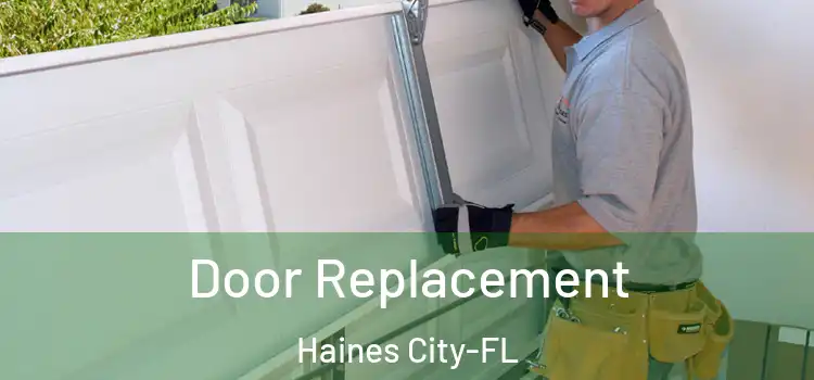 Door Replacement Haines City-FL
