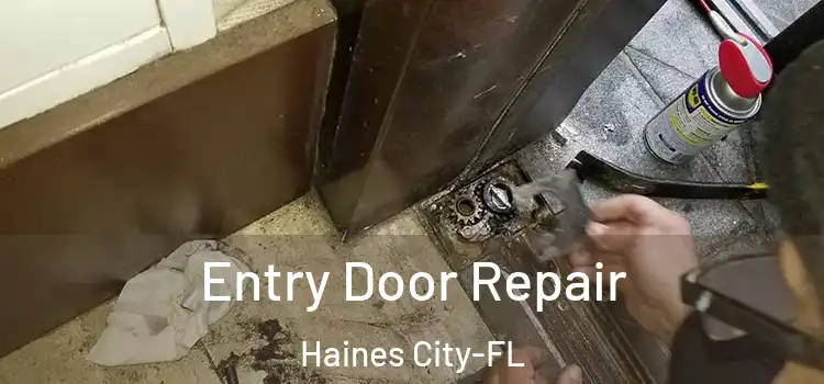  Entry Door Repair Haines City-FL