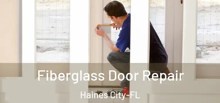  Fiberglass Door Repair Haines City-FL