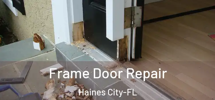 Frame Door Repair Haines City-FL