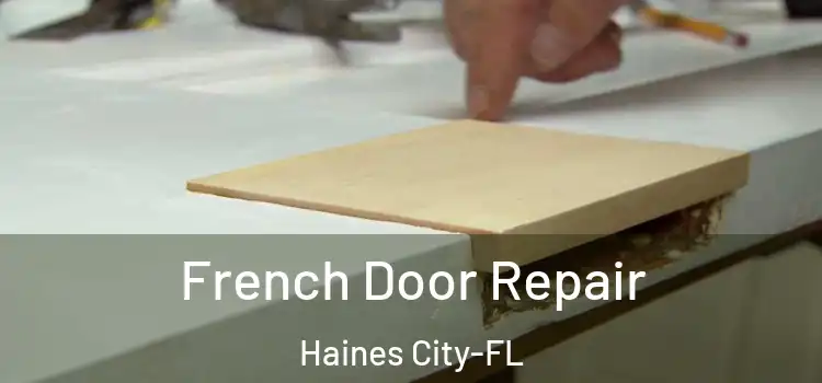 French Door Repair Haines City-FL