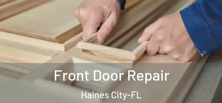 Front Door Repair Haines City-FL