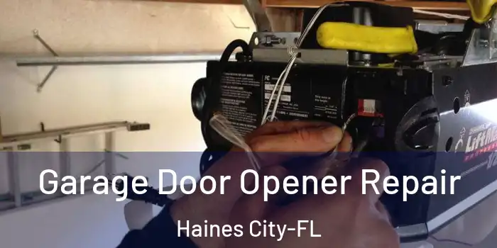 Garage Door Opener Repair Haines City-FL