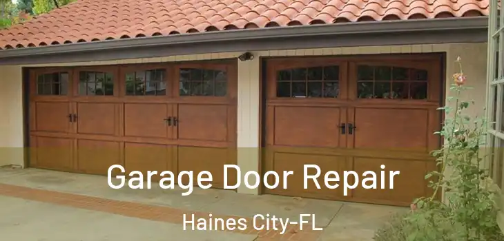  Garage Door Repair Haines City-FL