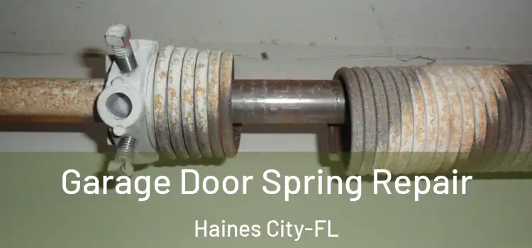  Garage Door Spring Repair Haines City-FL