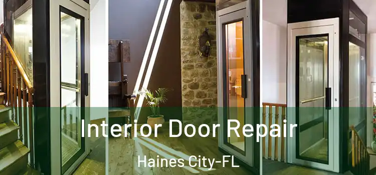  Interior Door Repair Haines City-FL
