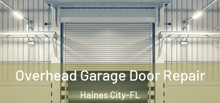 Overhead Garage Door Repair Haines City-FL