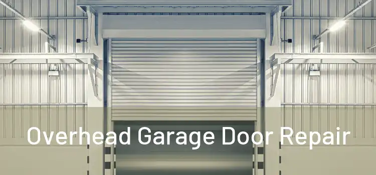  Overhead Garage Door Repair 
