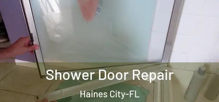 Shower Door Repair Haines City-FL