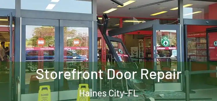  Storefront Door Repair Haines City-FL