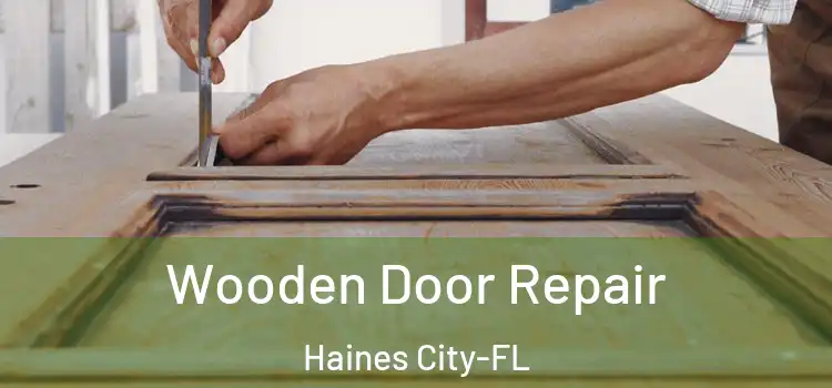  Wooden Door Repair Haines City-FL
